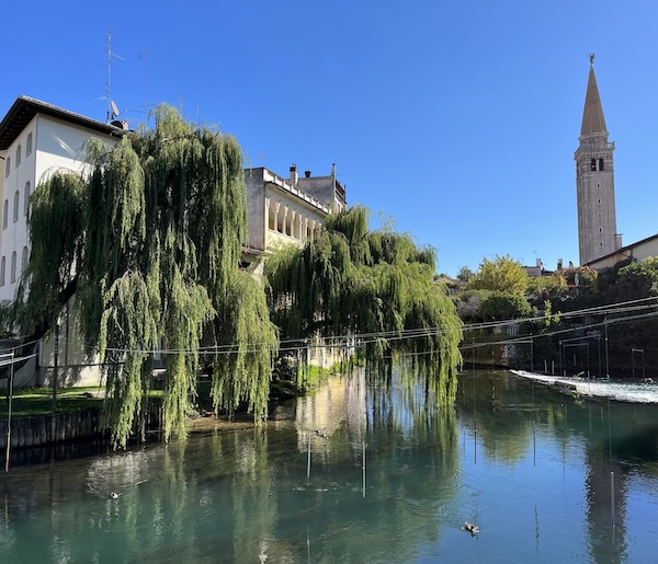 sacile-livenza-river-friuli-small-group-tour Willow trees along the Livenza River in Sacile with the town’s bell tower in the background.