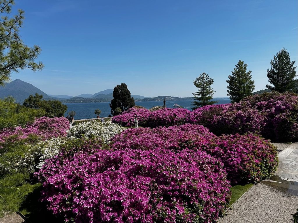 Spring azaleas overlooking Lake Como during our Italian garden tour